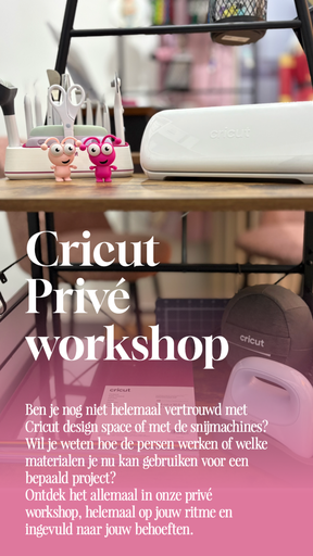 Privé Cricut Workshop Advanced
